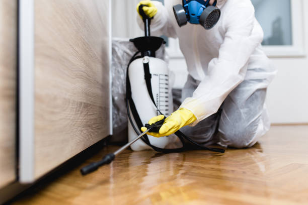 Best Affordable Pest Control Services  in Buckhall, VA