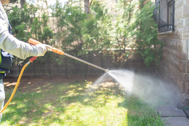 Spider Control Near Me in Buckhall, VA