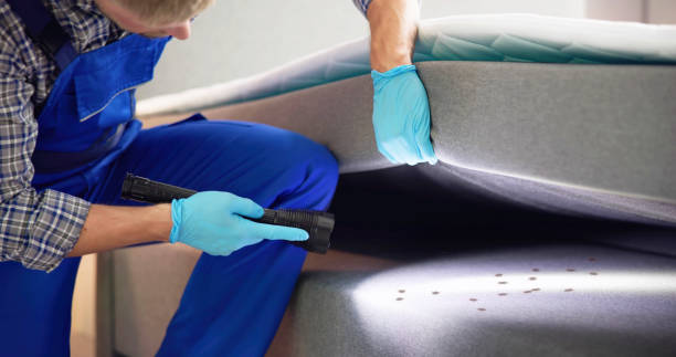 Pest Control Cost in Buckhall, VA