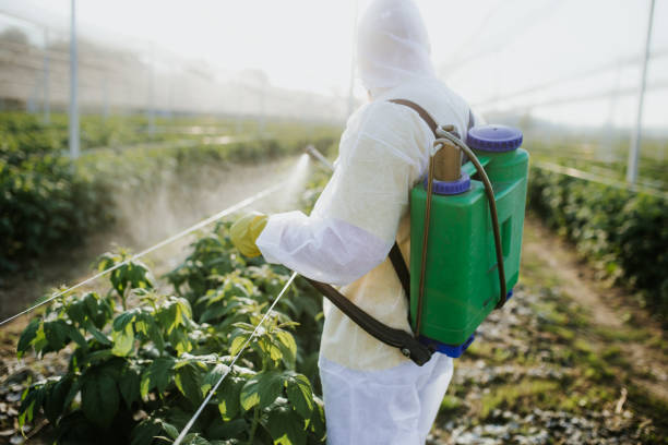 Best Local Pest Control Services  in Buckhall, VA